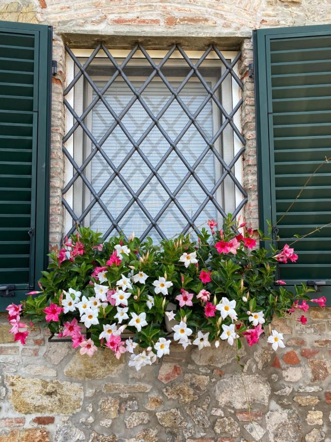 فيلا Casa Pietra Del Sole لوكا المظهر الخارجي الصورة