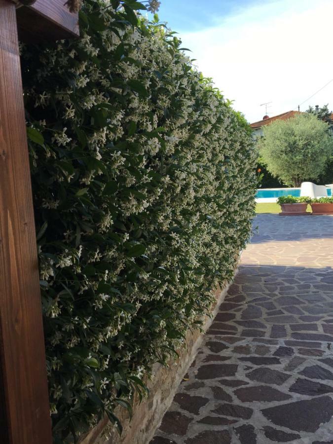 فيلا Casa Pietra Del Sole لوكا المظهر الخارجي الصورة